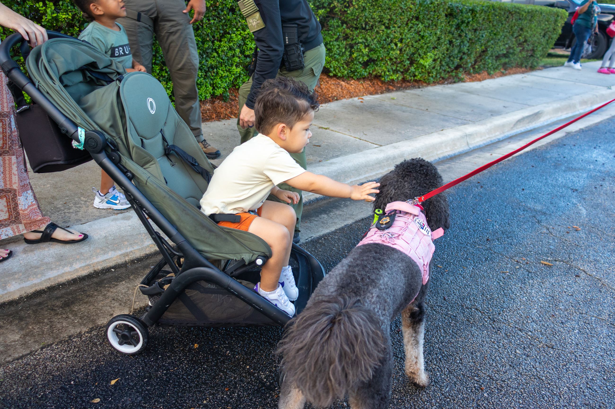 A child in a stroller reaches out to pet Ember, the Fire Department therapy dog